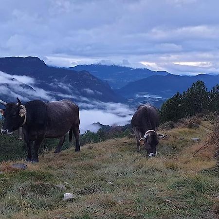 Precioso Apartamento En El Pirineo Catalan La Pobla de Lillet Exterior foto