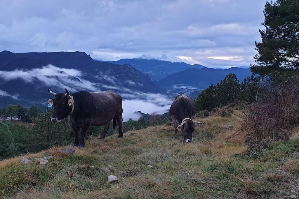 Precioso Apartamento En El Pirineo Catalan La Pobla de Lillet Exterior foto